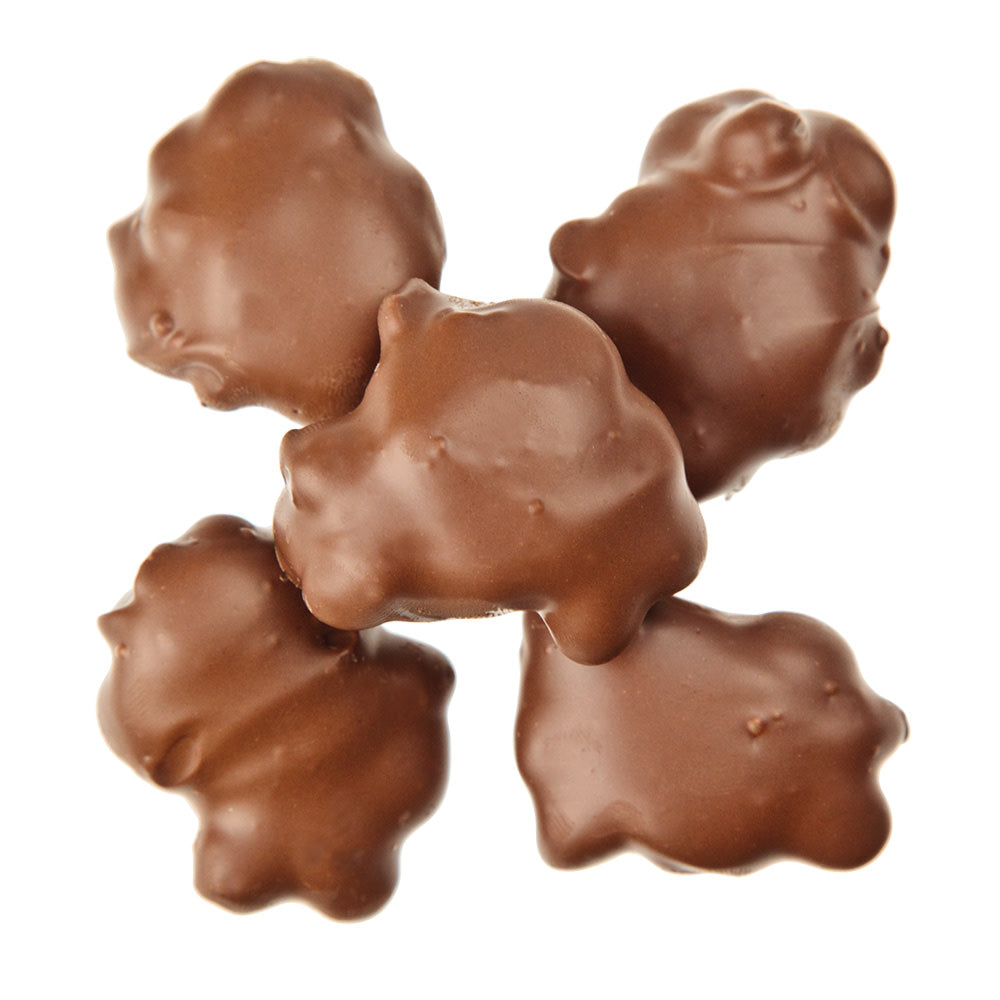 Wholesale BoxNCase Milk Chocolate Peanut Turtles- Bulk