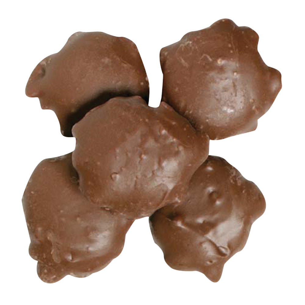Wholesale BoxNCase Milk Chocolate Cashew Turtles- Bulk