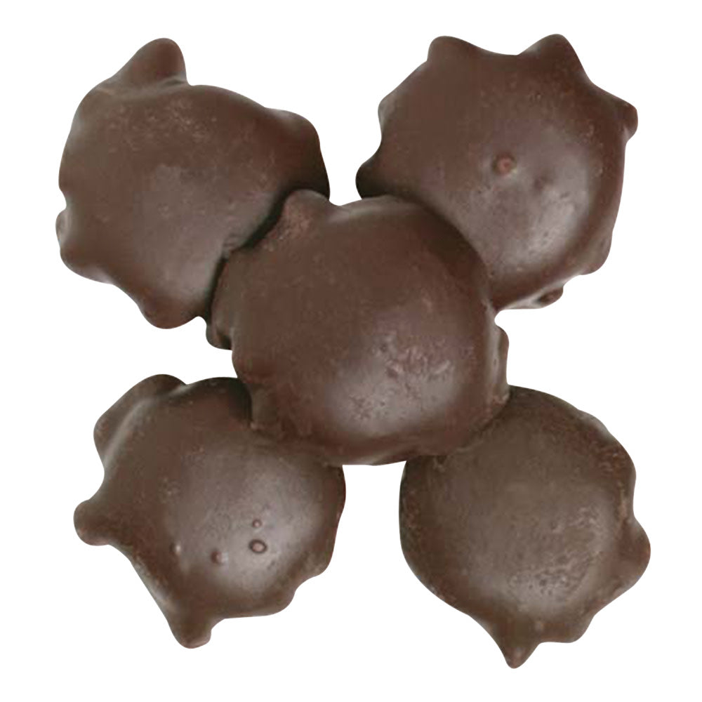 BoxNCase Dark Chocolate Cashew Turtles