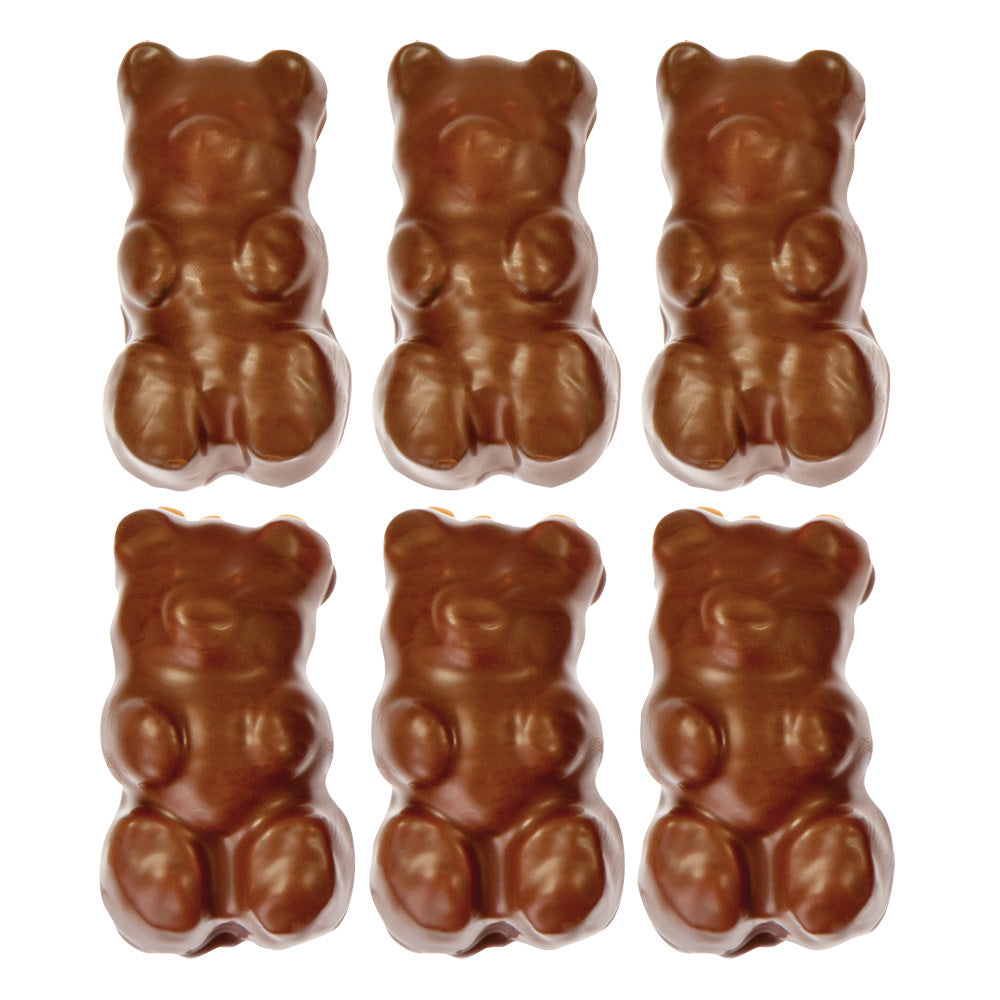 Wholesale BoxNCase Milk Chocolate Giant Gummy Grizzly Bears- Bulk