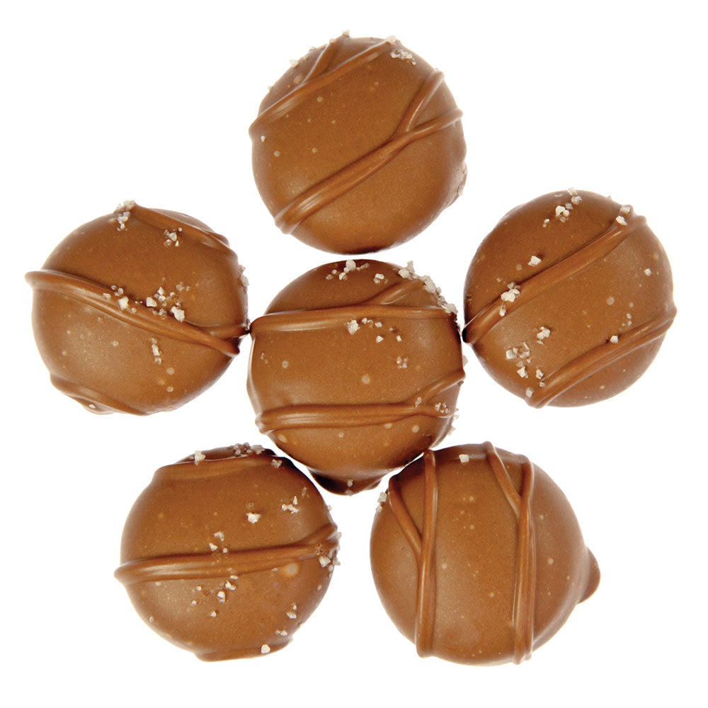 Wholesale Mark Avenue Hawk Milk Chocolate Sea Salt Caramel- Bulk