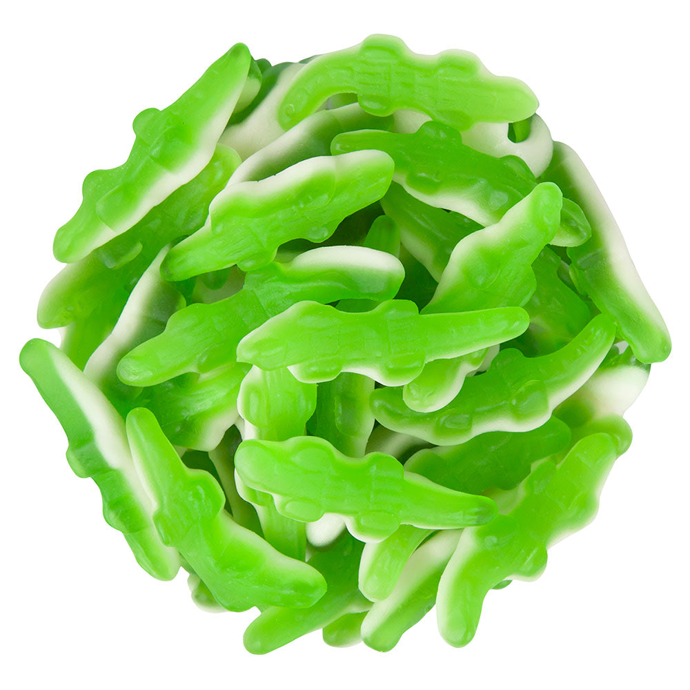 Wholesale Kervan Gummy Crocodile Hatchlings- Bulk