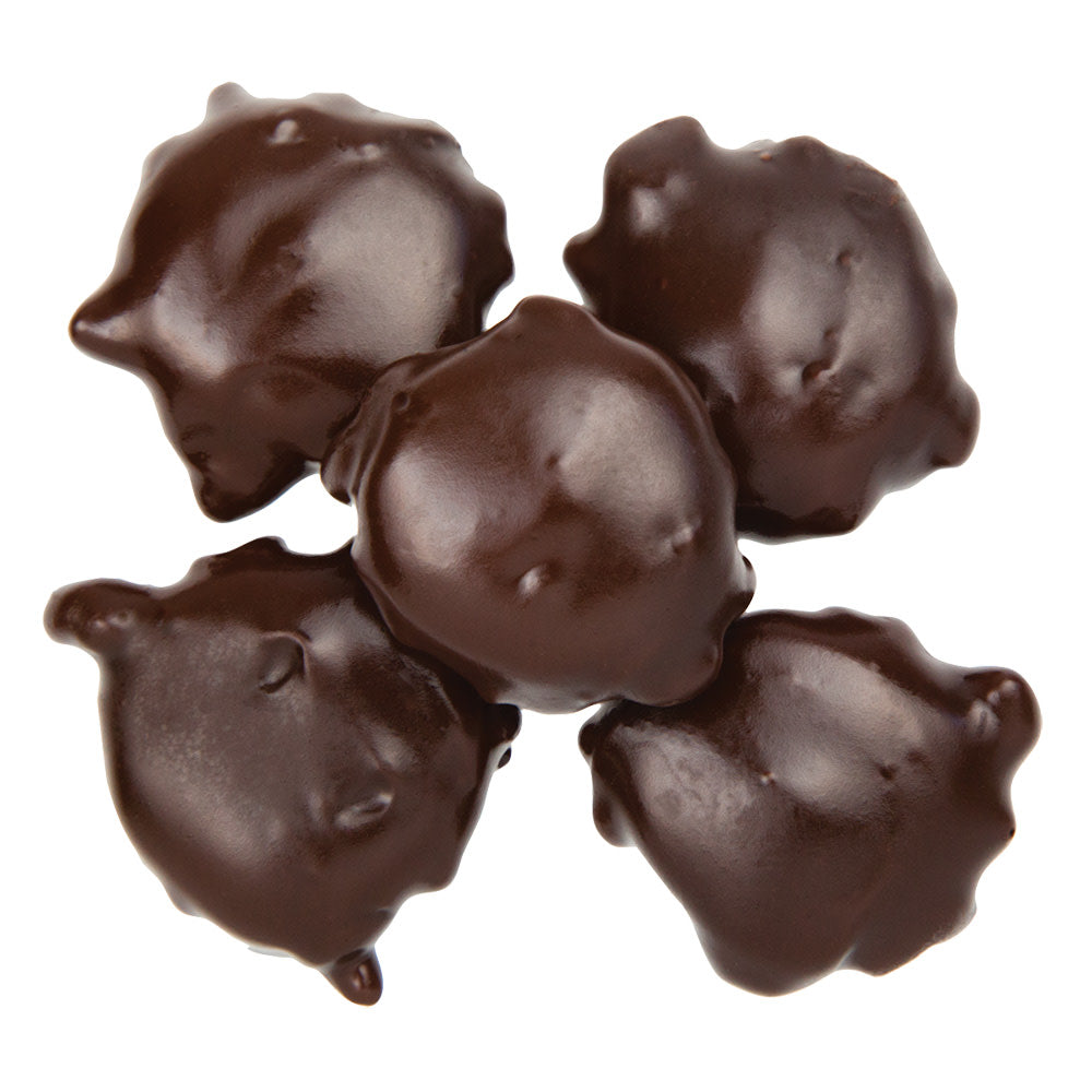 BoxNCase Dark Chocolate Pecan Turtles