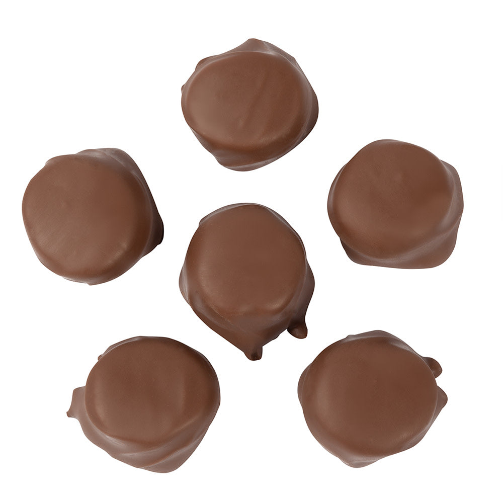 Wholesale BoxNCase Milk Chocolate Marshmallow Caramel Treat- Bulk