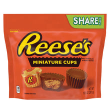 Wholesale Reese's Mini Peanut Butter Cup 10.5 Oz Pouch- Bulk