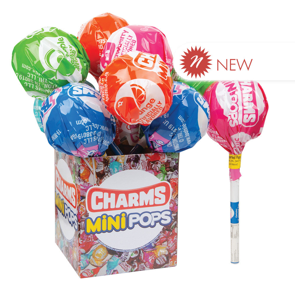 Wholesale Charms - Mini Mega Lollipops - 12 Lollipops - 4.9Oz Bulk