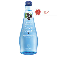 Wholesale Clearly Canadian Sparkling Water Mountain Blackberry 11 Oz Bottle- Bulk