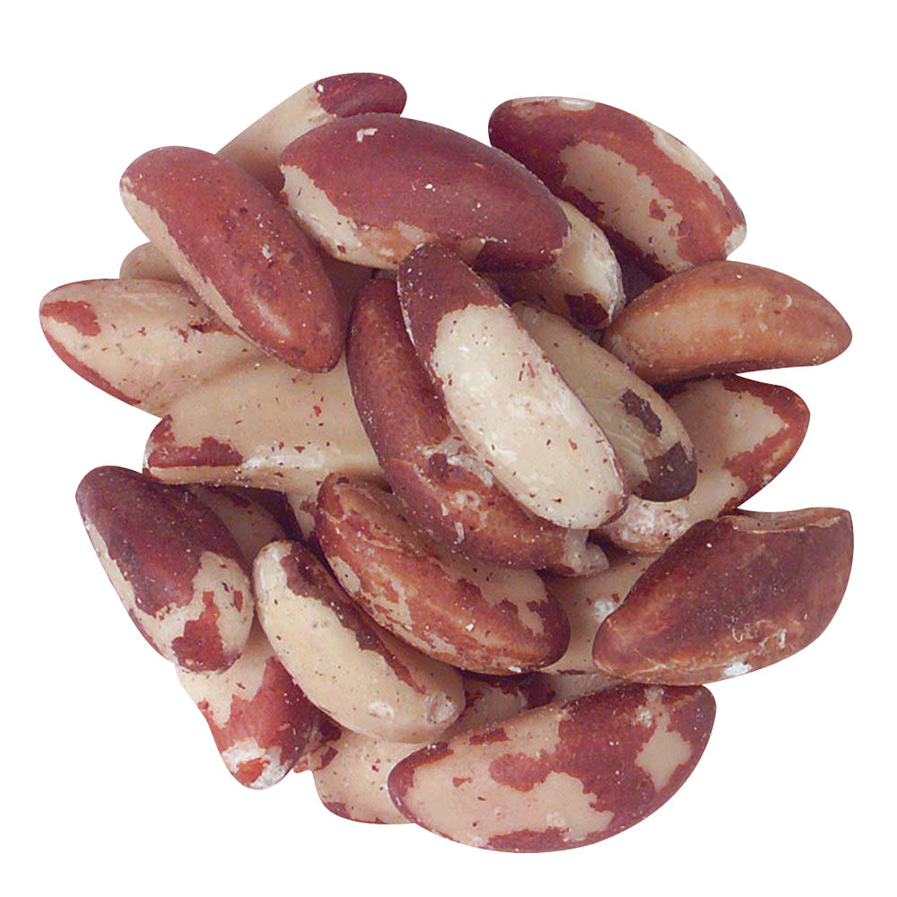 Wholesale Brazil Nut Unblanched Medium- Bulk
