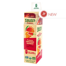 Wholesale Solely Organic Mango Chili And Salt Fruit Jerky 0.8 Oz- Bulk