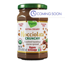 Wholesale Rigoni Nocciolata Crunchy Hazelnut Spread 8.82 Oz Jar- Bulk