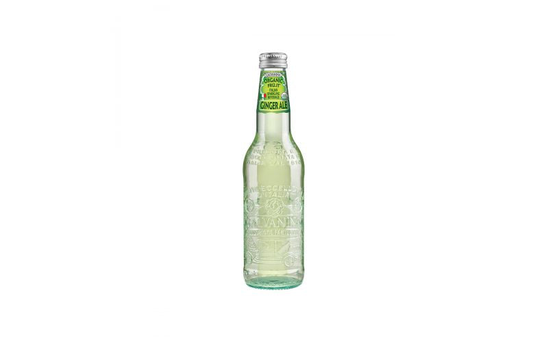 Wholesale Galvanina Organic Ginger Ale 12 Oz Bottle - 12 Ct Bulk